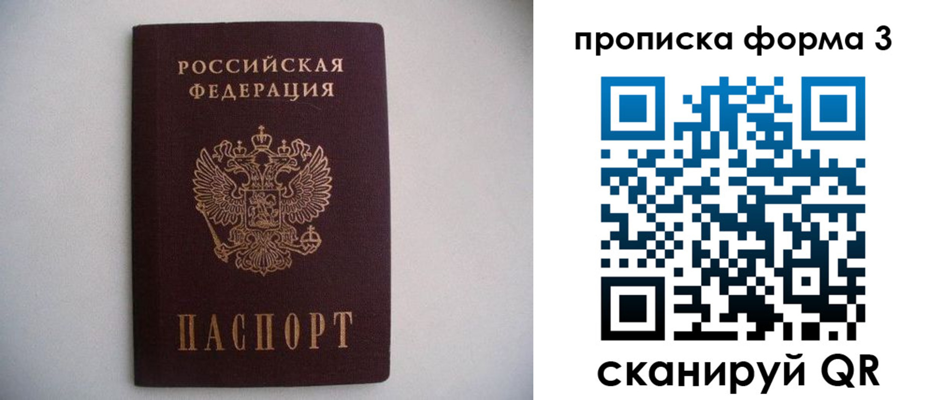 прописка в Сланцах
